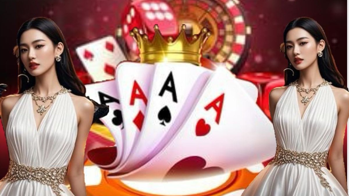 bingoplys