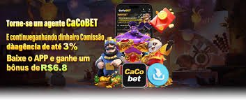 bingoplys