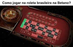 bingoplys